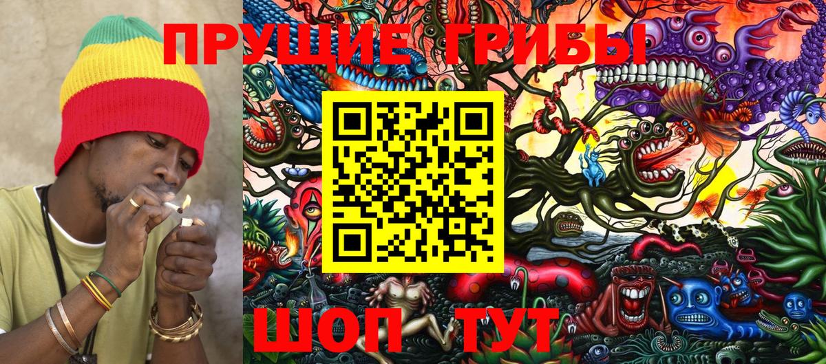 Псилоцибиновые грибы Cubensis  Псилоцибиновые грибы Psilocybe  Вход с VPN  Новозыбков 