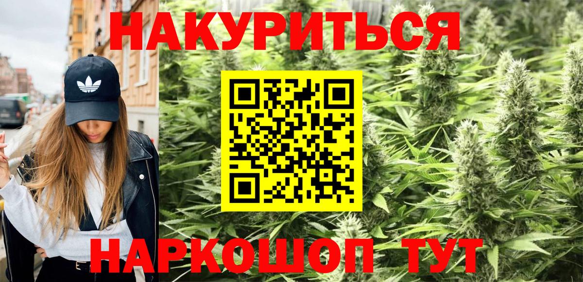 Новозыбков  Каннабис конопля  Вход с VPN  Канабис сатива  Шишки марихуана индика 